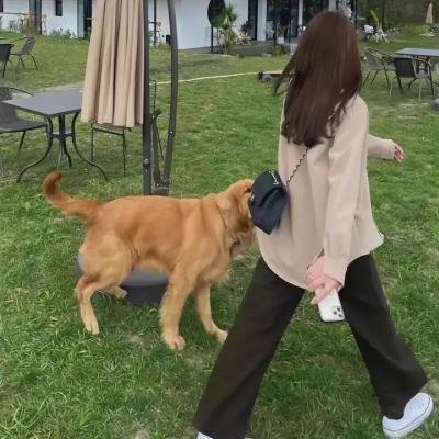 生活在惊恐中